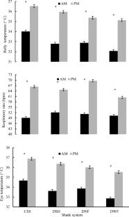 Determining the most effective shade system based on physiological and productive performance of Bos taurus bulls in a subtropical climate