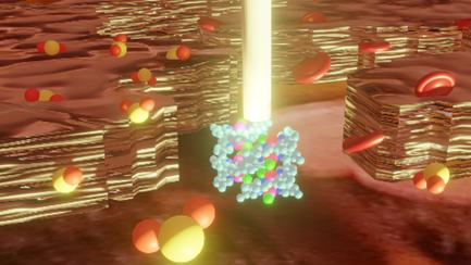 Recent Advances in Luminescence of Platinum Complexes in the Near Infrared Second Window