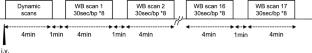 A first-in-man PET study of 2-amino-[3-11C] isobutyric acid for the amino acid transport System A: biodistribution and dosimetry in healthy volunteers