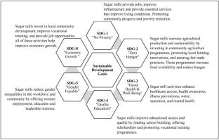 Achieving Sustainable Development Goals Through Corporate Social Responsibility Initiatives: An Impact Evaluation of Sugar Mills in Northern India