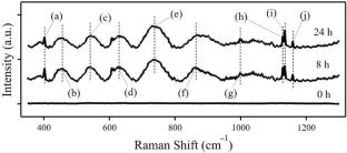 Superhydrophobic surface through direct grafting of fluorosilane molecules onto wood