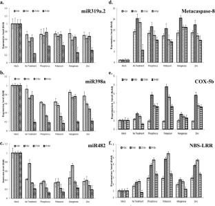 Mineral nutrient content restricts viral RNA accumulation and the systemic spread of Groundnut bud necrosis virus in Vigna unguiculata
