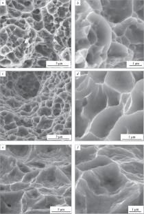 Fractographic Features of Ultrafine-Grained Metals After Tension Accompanied by Pulse Current