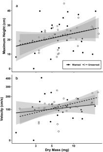 Effects of simulated squirrel branch landings on ants and other arboreal arthropods