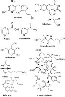 Analytical approaches for estimation of B vitamins in food: a review on the shift from single to multi-vitamin analysis