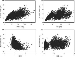 Nonlinear mixed effects crown width model for planted L. kaempferi at high altitudes in southern China