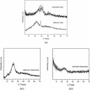 Evaluation of adsorption properties and structural characterization of the husk and mesocarp of Caryocar brasiliense for application as an adsorbent
