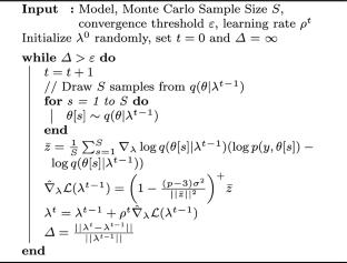 Variance control for black box variational inference using the James–Stein estimator