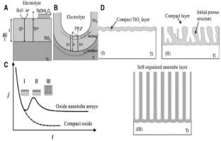 Recent advances in TiO2 nanotube arrays-based electrocatalysts for electrochemical water splitting and CO2 reduction