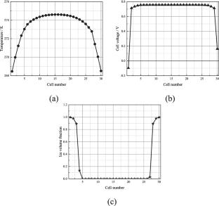 Cold start simulation study at the key material level of fuel cell
