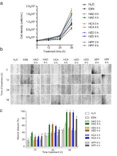 Protein hydrolysis with plant juices enhances antioxidant, prebiotic, and wound-healing properties of the hydrolysates: A study in edible bird’s nest