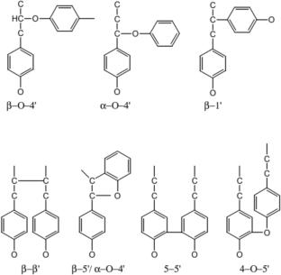 Lignin and its composites for supercapacitor applications