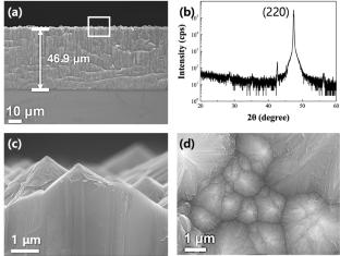 Superhydrophobic Polysilicon Surface Induced by Stearic Acid-treated La(OH)3 Coating