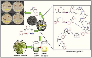Green and Biogenic Synthesis of Cerium Oxide (CeO2) Nanoparticles: Heterogeneous Catalytic Synthesis of Isoxazol-5(4H)-one Derivatives and Assessment of Their Antibacterial Activity