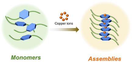 Copper-Induced Supramolecular Assemblies for Biomedical Applications