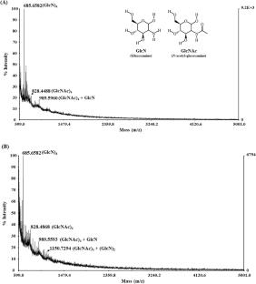 Synthesis of active molecular chitosan with selective molecular weight and its potential to promote wound healing