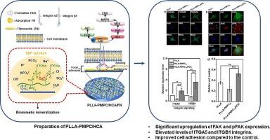 Investigation on biomimetic mineralization and its effect on MG-63 cell behavior on poly L-lactic acid surfaces through poly (2-methacryloyloxyethyl phosphorylcholine) conjugation