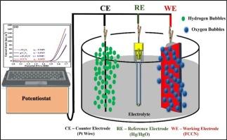 MIL-Fe-88 derived α-Fe2O3/C@g-C3N4 ternary composite with boosted electrocatalytic activity: OER stability prediction and forecasting via machine learning