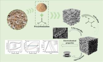 S/N/O co-doped lotus root-like porous carbon with high microporosity for aqueous supercapacitors