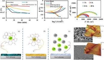 Synthesis of a green smart nano-carrier encapsulating Allium jesdianum extract for superior corrosion protection in saline environment using natural polymers