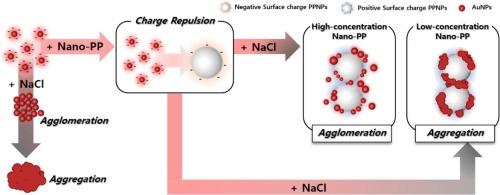 Novel colorimetric detection of polypropylene nanoplastic via inhibition of salt-induced aggregation of gold nanoparticle