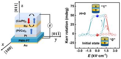 Electric Field-Induced Perpendicular Magnetization Switching via Piezostrain-Mediated Orbital Reconfiguration in RKKY-Interacted Multilayers for Encrypted Memory and Complementary Logics