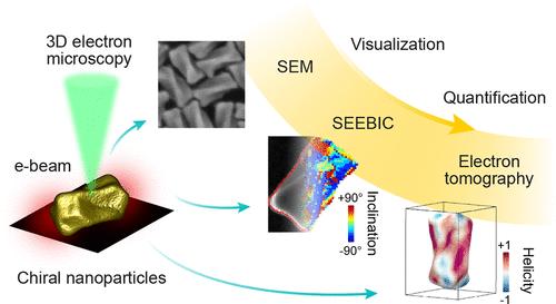Three-Dimensional Electron Microscopy of Chiral Nanoparticles: From Imaging to Measuring