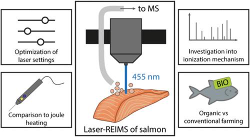 Commercially Available Blue Diode Laser Engraver Operating at 455 nm as an Affordable LD-REIMS Ionization Source