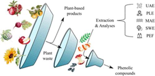 Consistency of Phenolic Compounds in Plant Residues Parts: A Review of Primary Sources, Key Compounds, and Extraction Trends