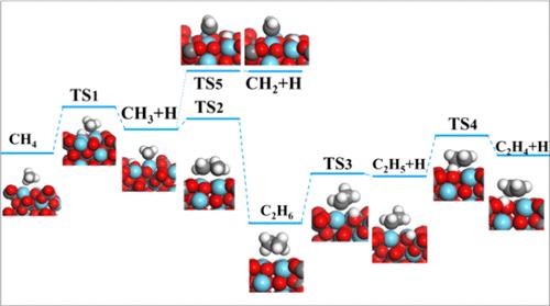 Theoretical Study on the Structure Sensitivity of La2O2CO3 in Oxidative Coupling of Methane and Its Comparison with La2O3