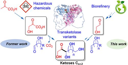 Rare Ketose Synthesis from Glycolaldehyde by C2 Elongation of Aldoses Catalyzed by Transketolase Variants