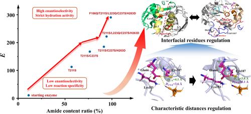 Switching Nitrilase With Enantioselective Hydration Activity for Efficient Synthesis of Chiral 2,2-Dimethylcyclopropanecarboxamide