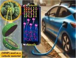 Stable polyaniline-based cathode material enabled by MgMn2O4 for aqueous magnesium-ion batteries: Experimental and DFT study
