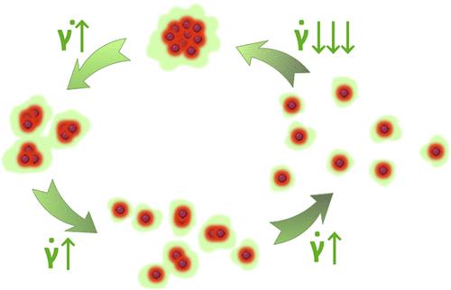 DendriPep Nanocoats: Substrate-Agnostic, Self-Assembling Constructs with Shear-Controlled Thickness and Permeability