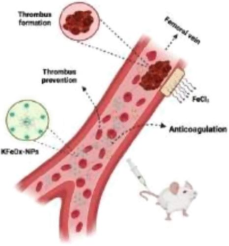 Potassium Ferric Oxalate Nanoparticles Prevent Human Blood Clotting and Thrombosis in a Mouse Model