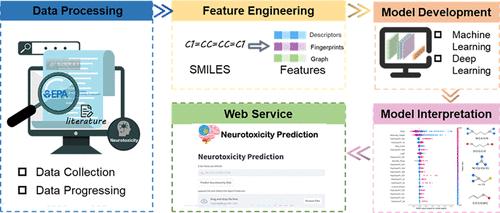 Development of an Interpretable Machine Learning Model for Neurotoxicity Prediction of Environmentally Related Compounds