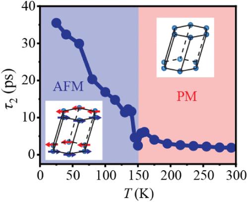 Anomalous Anisotropic Quasiparticle Decay Dynamics in NiPS3 Induced by Electric Dipole and Spin Ordering