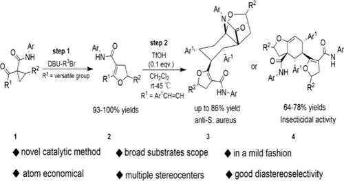 A Two-Step Process for the Synthesis of Densely Functionalized N-Bridged Octahydrobenzofurans and Hexahydrobenzofurans