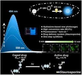 Innovative application of conventional hydrazone analogues as photocages with ultrahigh photolysis efficiency for dynamic bioimaging and prodrug construction