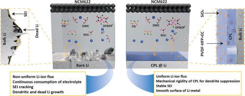 Enhanced stability and dendrite suppression in lithium metal batteries via PVDF–HFP-based composite protective layers