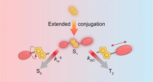 Resolving the Vibronic Effect on Dark Processes of Conjugation Extended Diketopyrrolopyrrole with Red/NIR Emitting