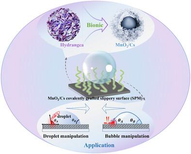 Covalently Grafted Slippery Surfaces for Transport of Large-Volume Droplets and Bubbles
