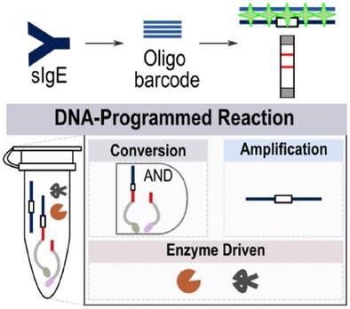 DNA-Programmed Reaction to Evaluate Specific IgE for Allergy Point-of-Care Testing