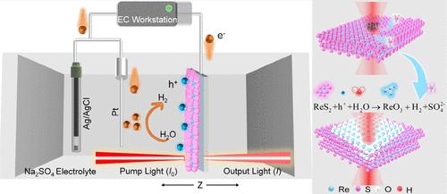 In Situ Nonlinear Optical Absorption Response during Electrochemically Controlled ReS2 Surface Oxidation