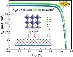 Glutamine bridge-connecting at SnO2/Perovskite interface for energy levels alignment and carrier transfer enhancement in perovskite solar cells