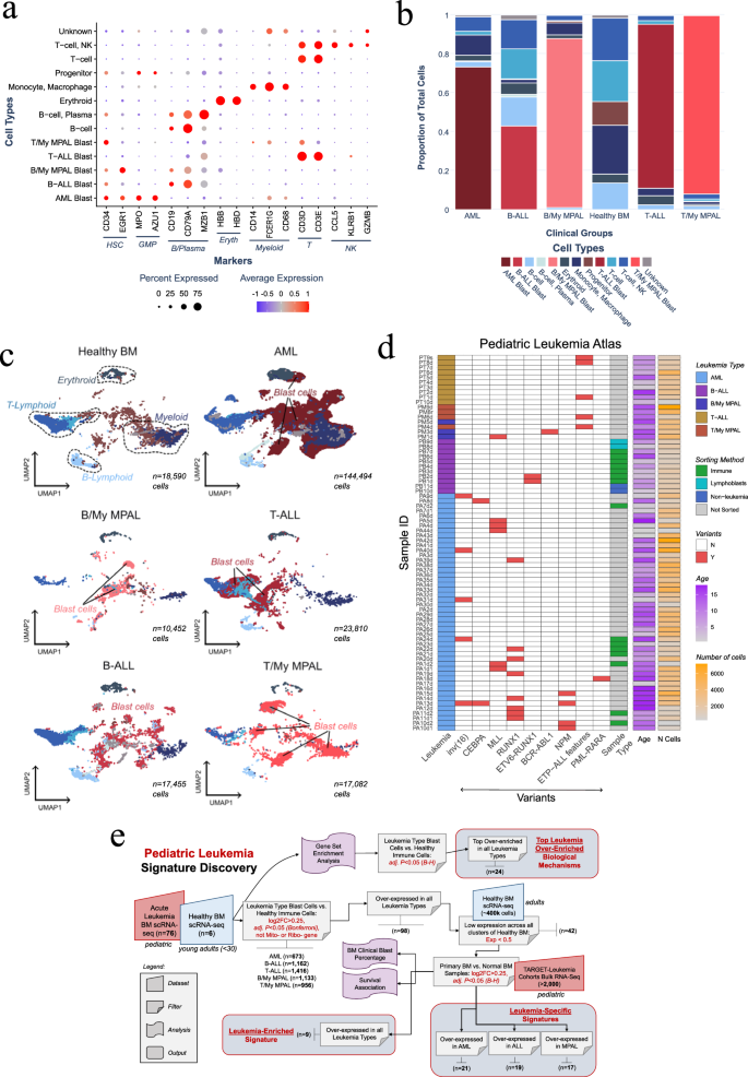 Identification of leukemia-enriched signature through the development of a comprehensive pediatric single-cell atlas