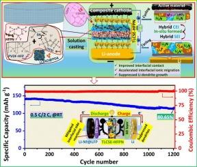 Enabling dual-reinforced stable hybrid interfaces for intercepting lithium dendrite growth and improving the performances of solid-state lithium-metal batteries
