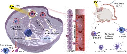X-ray-Responsive Semiconducting Polymer siRNA Nanosystems for Orthotopic Glioma Treatment via Silencing the Immunosuppressive Signal