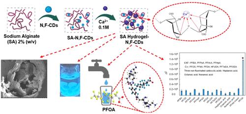Fluorescent Sodium Alginate Hydrogel–Carbon Dots Sensor for Detecting Perfluorooctanoic Acid in Potable Water