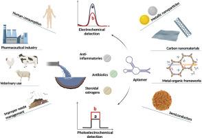 Electrochemical and photoelectrochemical aptasensors for the detection of environmental pharmaceutical pollutants